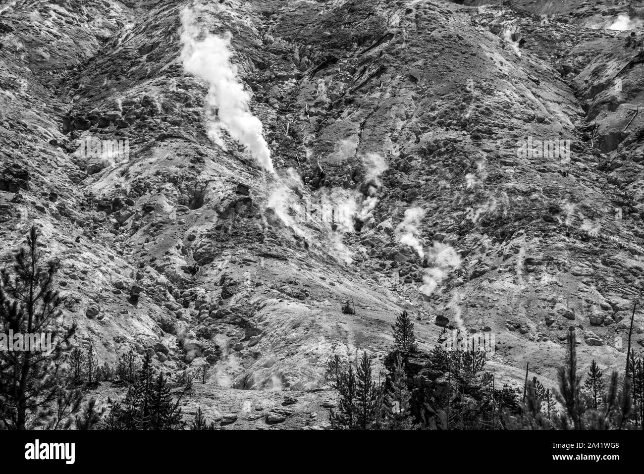 Dampfende Fumarolen am prasselnden Berge in Yellowstone Stockfoto