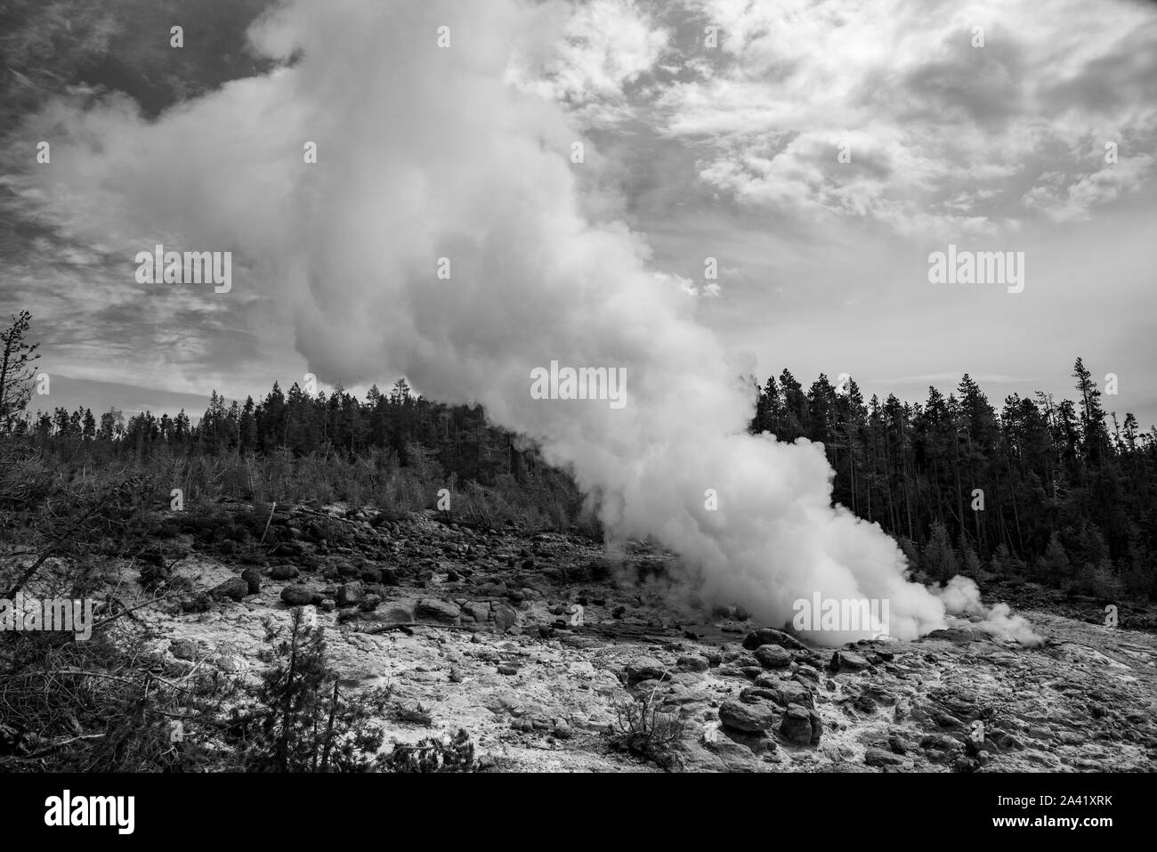 Steamboat Geysir beim Ausbruch in der Norris Geyser Basin im Yellowstone Stockfoto