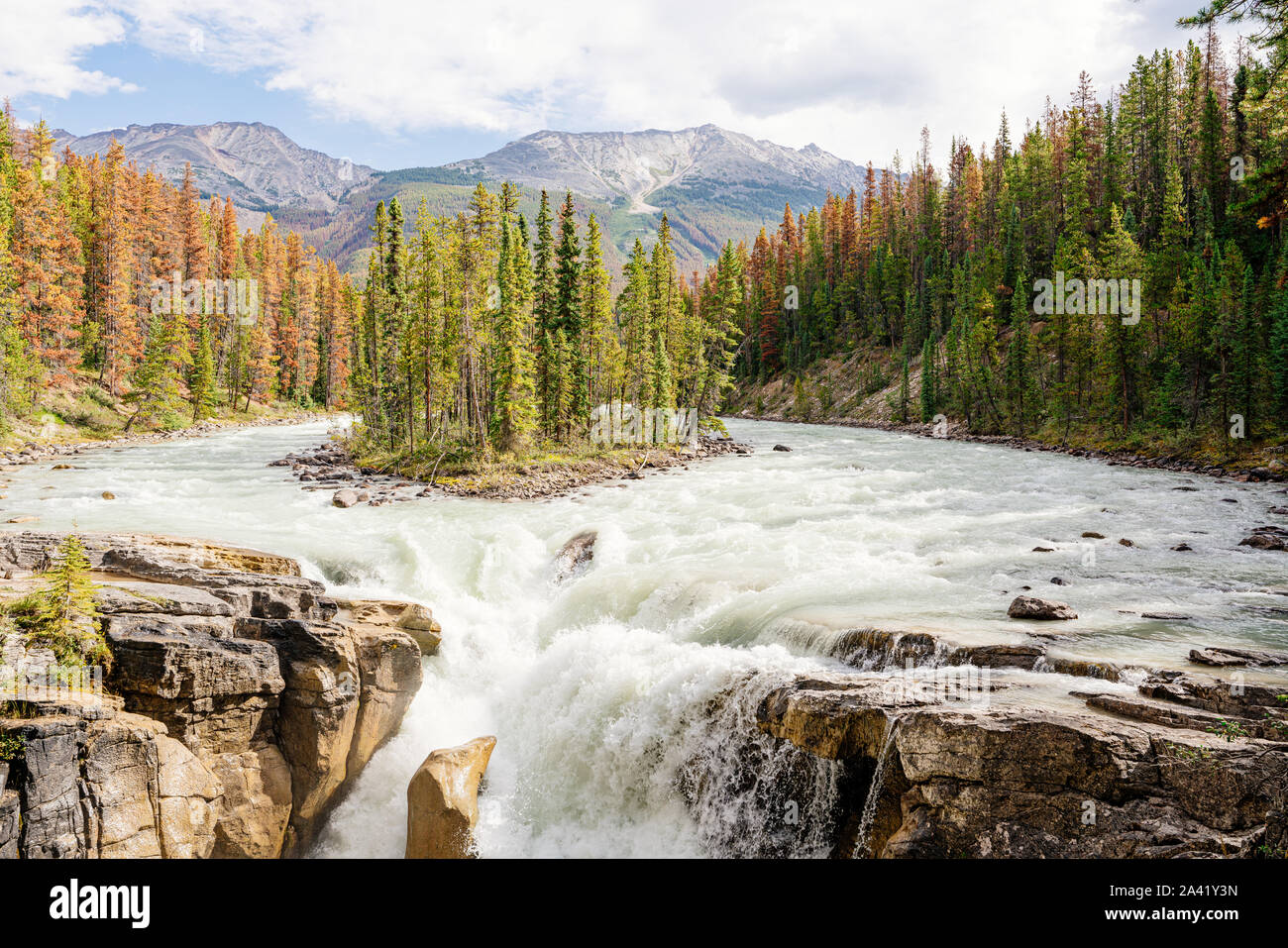Sunwapta Falls im Jasper Nationalpark Stockfoto