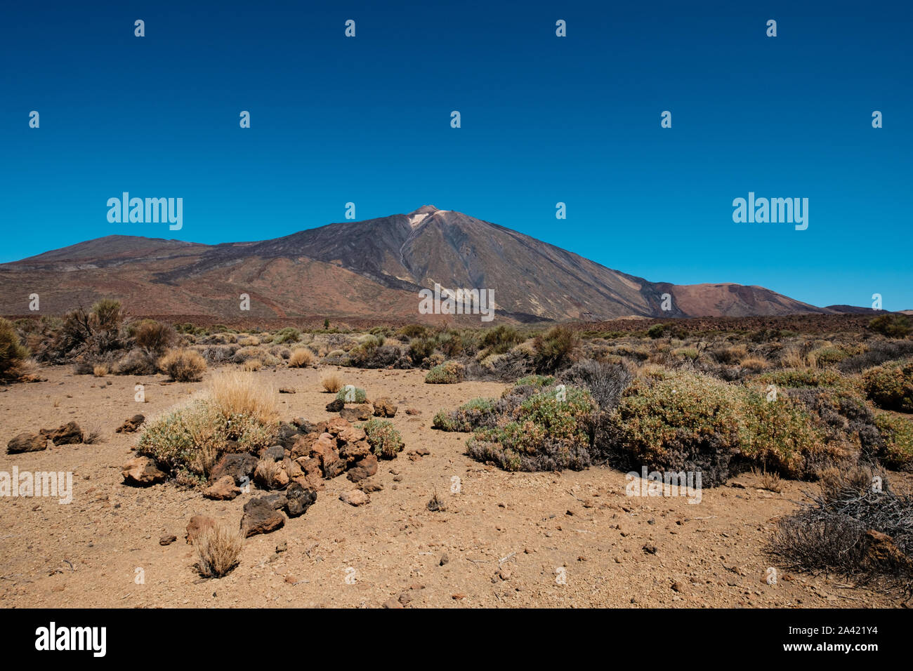 Wüste Landschaft mit Berg Hintergrund, Pico del Teide vulkanischen Gipfel Stockfoto