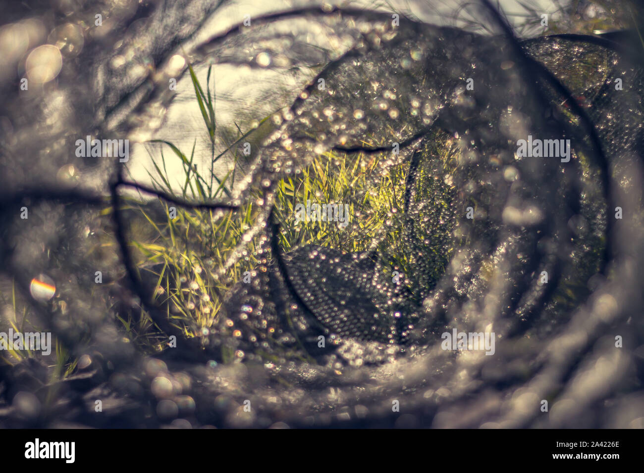 Ein nasser Fischernetz von innen mit einem unscharfen Hintergrund an einem sonnigen Tag fotografiert. Stockfoto