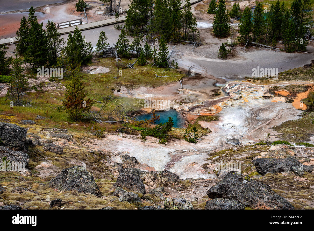 Blick auf die heissen Quellen und Geysire von Künstlern painpots Bereich in Yellowstone Stockfoto