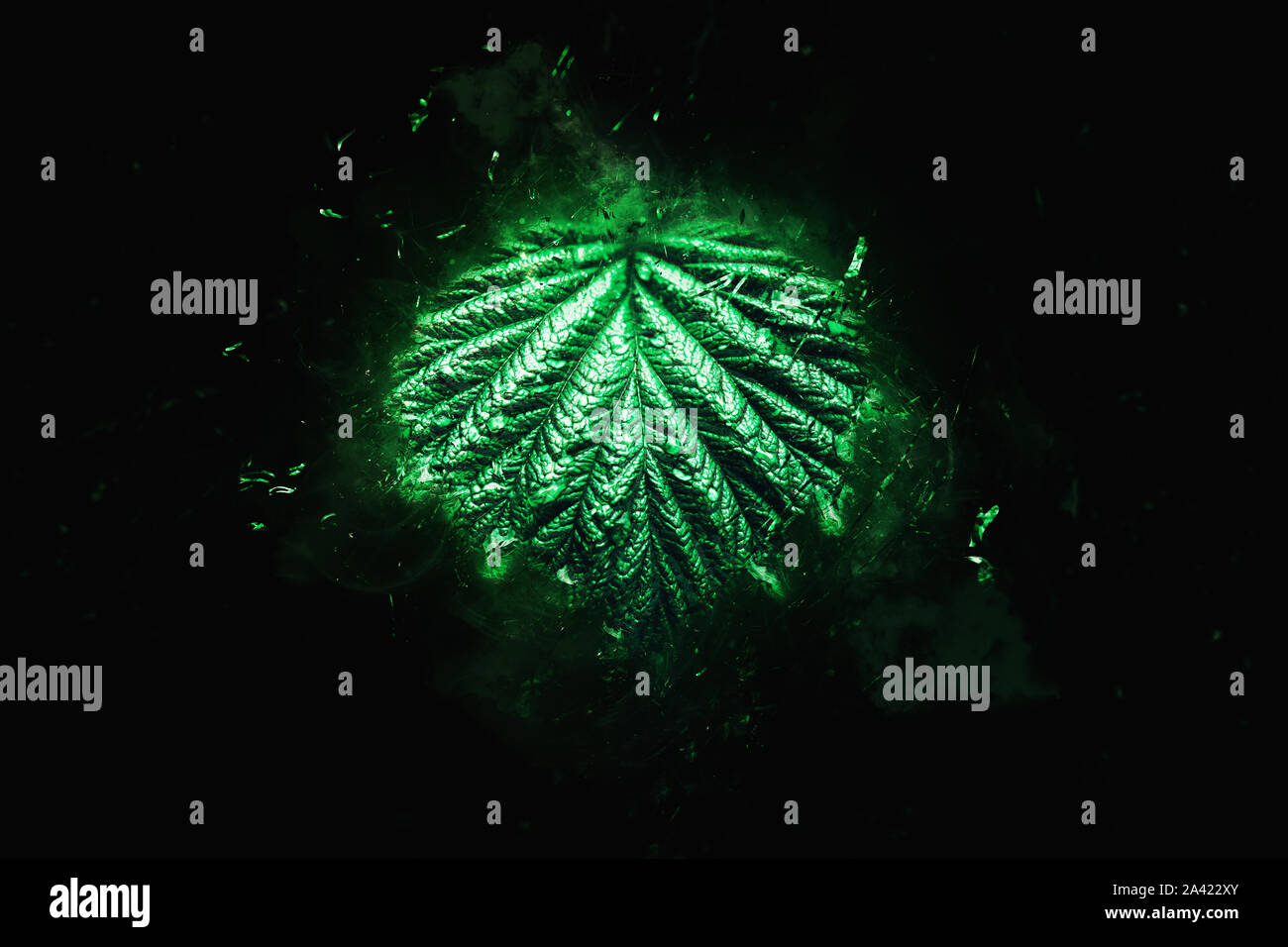 Umwelt Decay Stockfoto