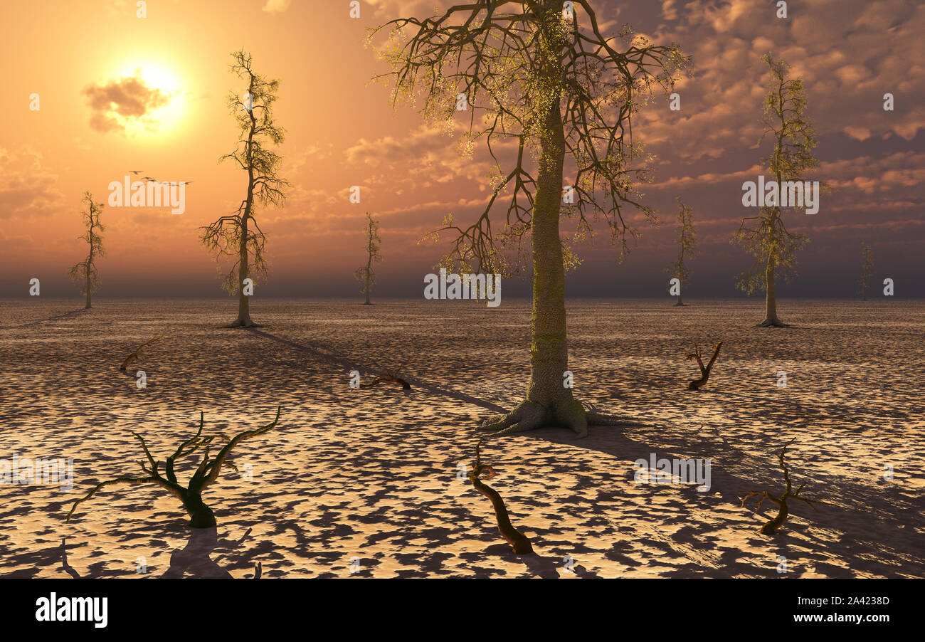 Sterbende Bäume aufgrund des Klimawandels. Stockfoto