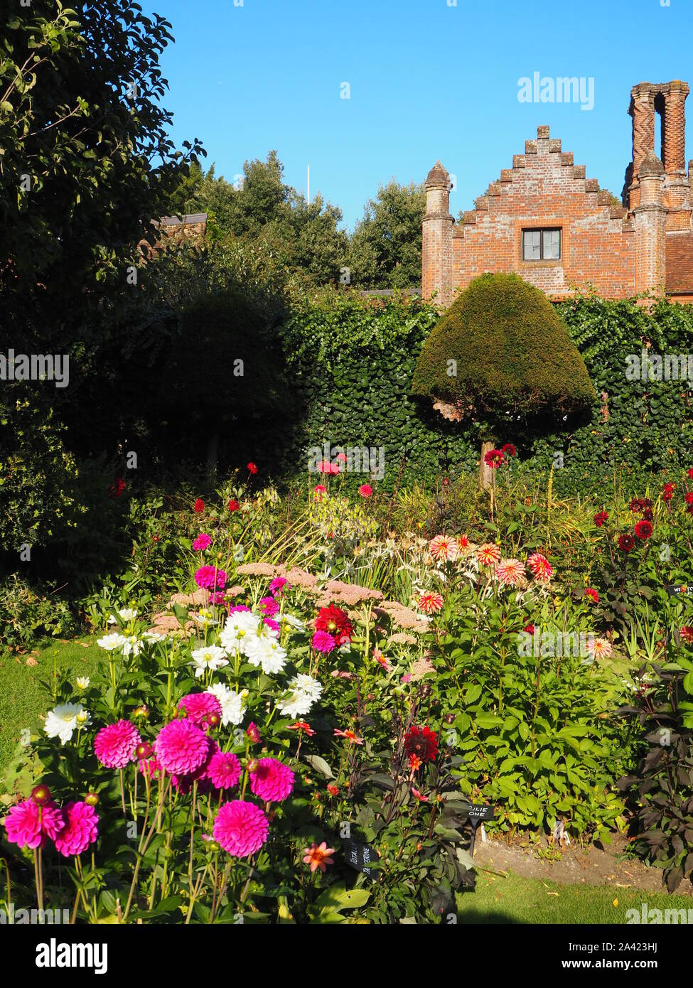 Chenies Manor House an einem Spätsommerabend, versunkene Garten Dahlien, Gras Pfade und Staudenbeet. Stockfoto