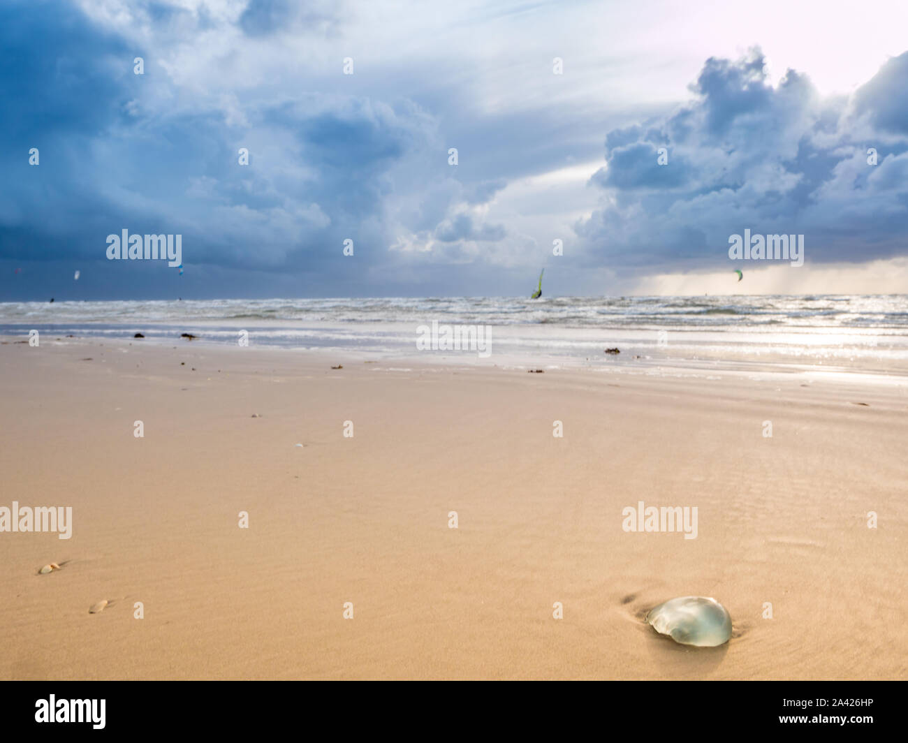 Am Strand von Sankt Peter-Ording an der Nordsee Stockfoto