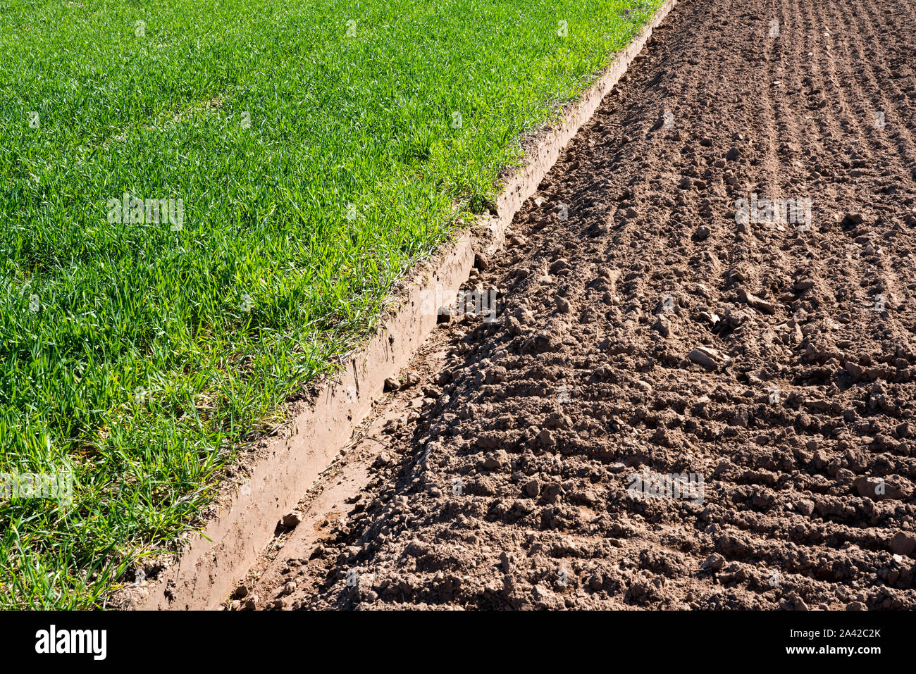Landwirtschaftliches Feld, Oberweser, obere Wesertal, Weserbergland, Nordrhein-Westfalen, Hessen, Deutschland Stockfoto