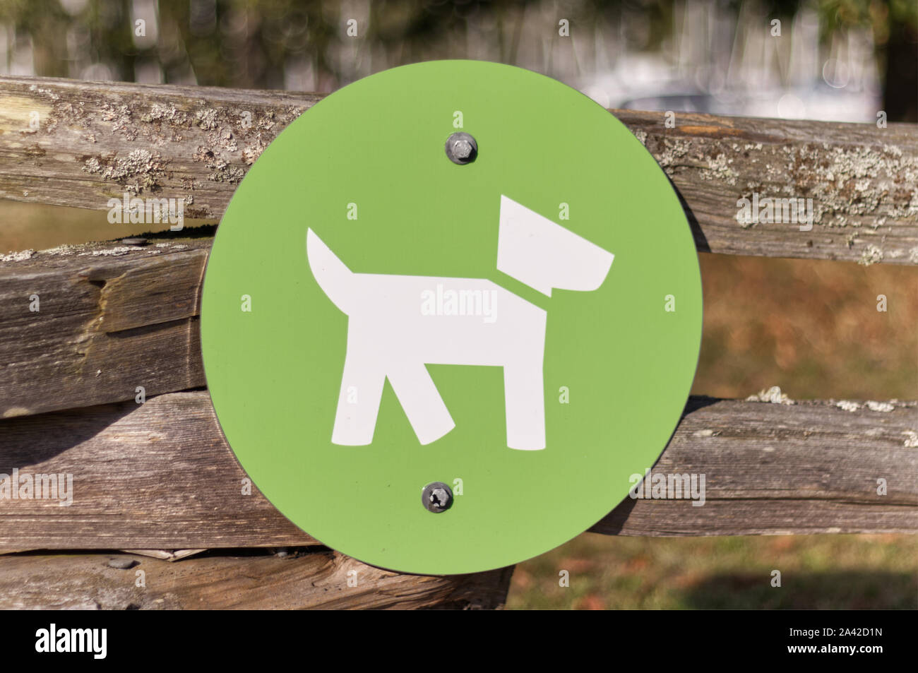 Isolierte Straßenschild "Hunde ohne Leine" in Vancouver, Kanada, an einem sonnigen Tag Stockfoto