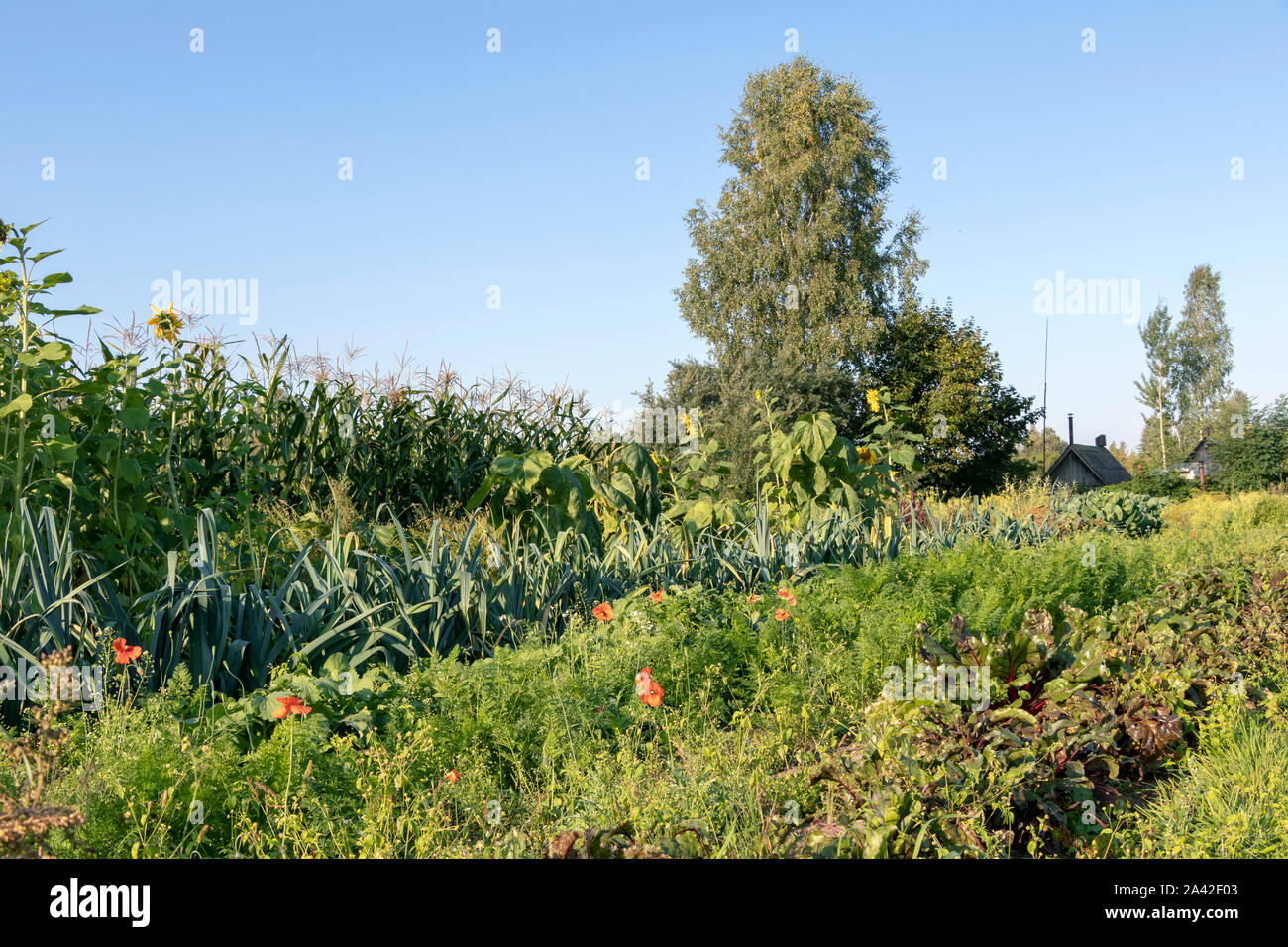 Nachhaltige permakultur Fotos und Bildmaterial in hoher Auflösung Alamy