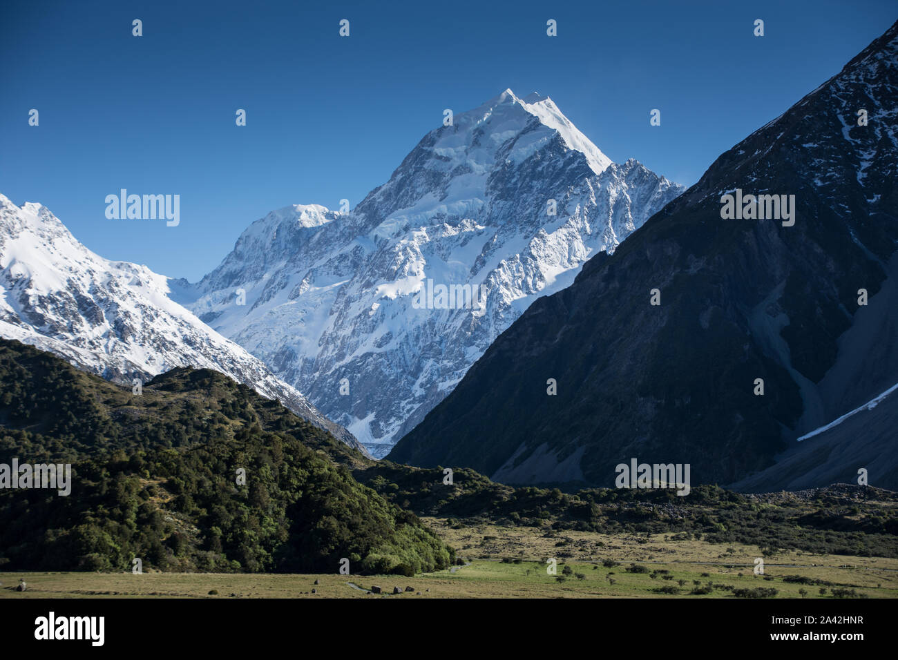 Den Gipfelgrat des Mt Cook/Aoraki an einem sonnigen Sommertag in Canterbury Neuseeland Stockfoto