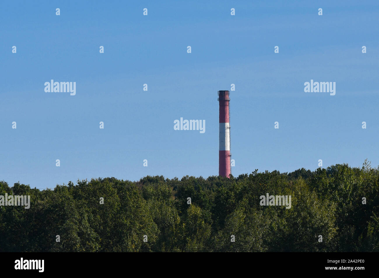 Chemische Druckleitung. Trompete auf dem Hintergrund der Wald Stockfoto