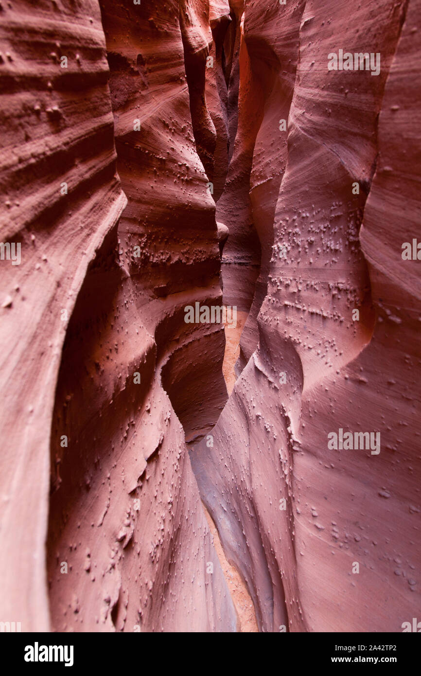 Spooky Canyon, Grand Staircase-Escalante National Monument, UT Stockfoto