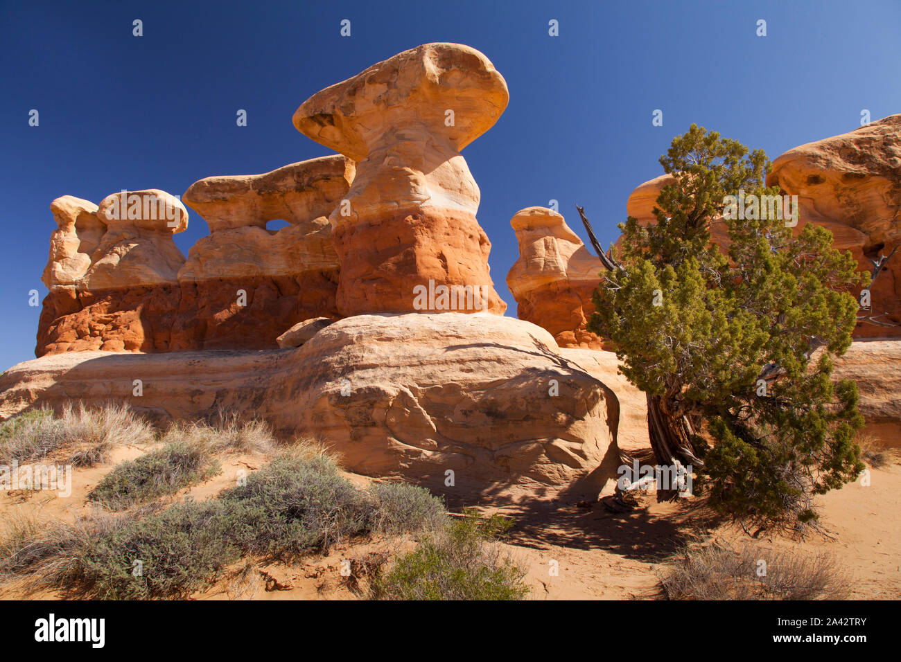 Felsformationen, Devil's Garden, Grand Staircase-Escalante National Monument, Utah Stockfoto