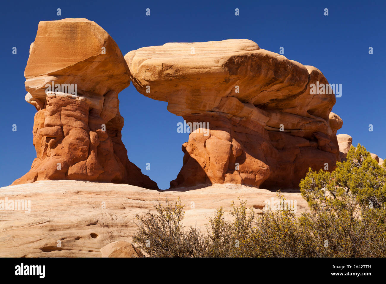 Felsformationen, Devil's Garden, Grand Staircase-Escalante National Monument, Utah Stockfoto