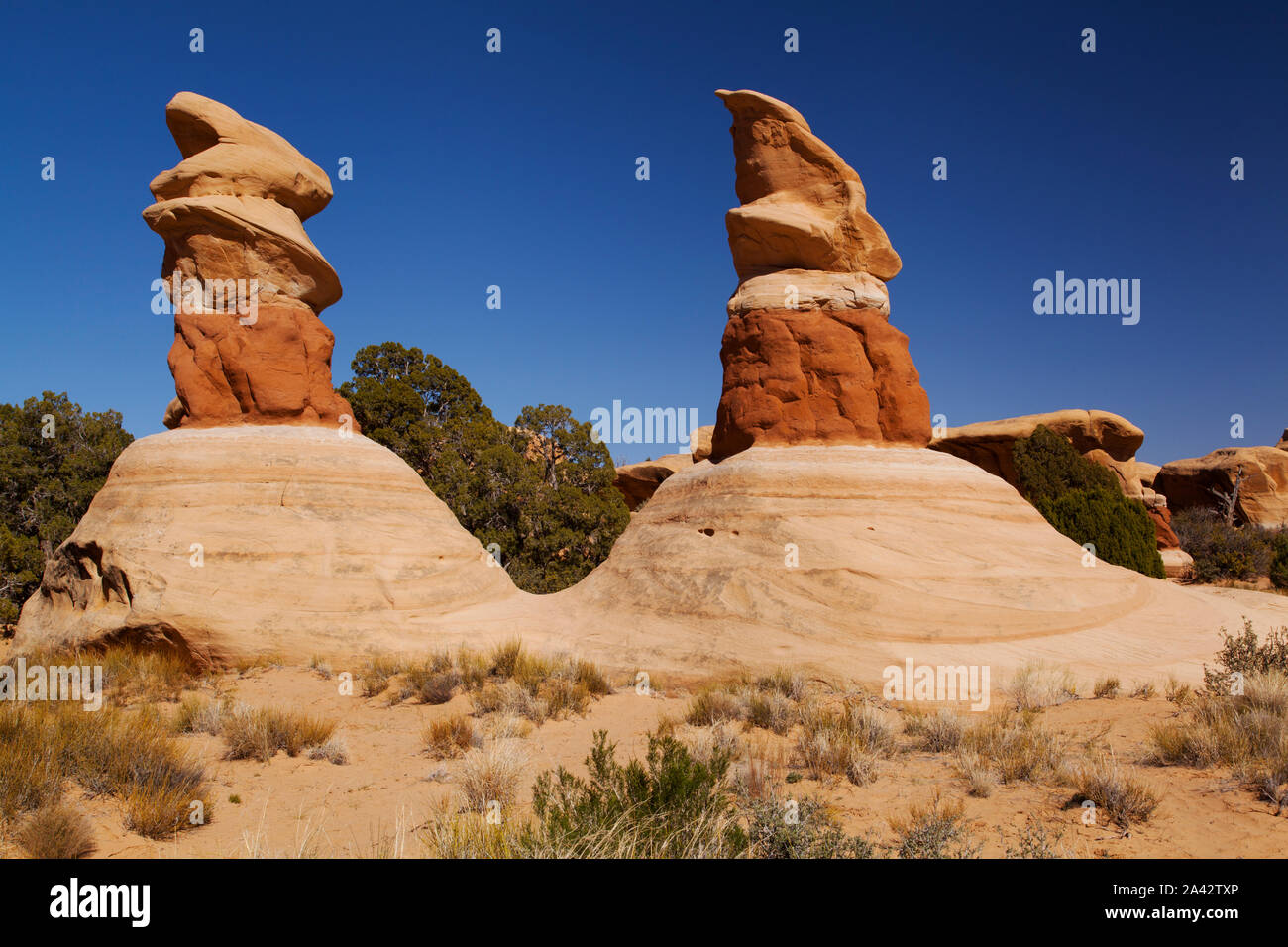 Felsformationen, Devil's Garden, Grand Staircase-Escalante National Monument, Utah Stockfoto