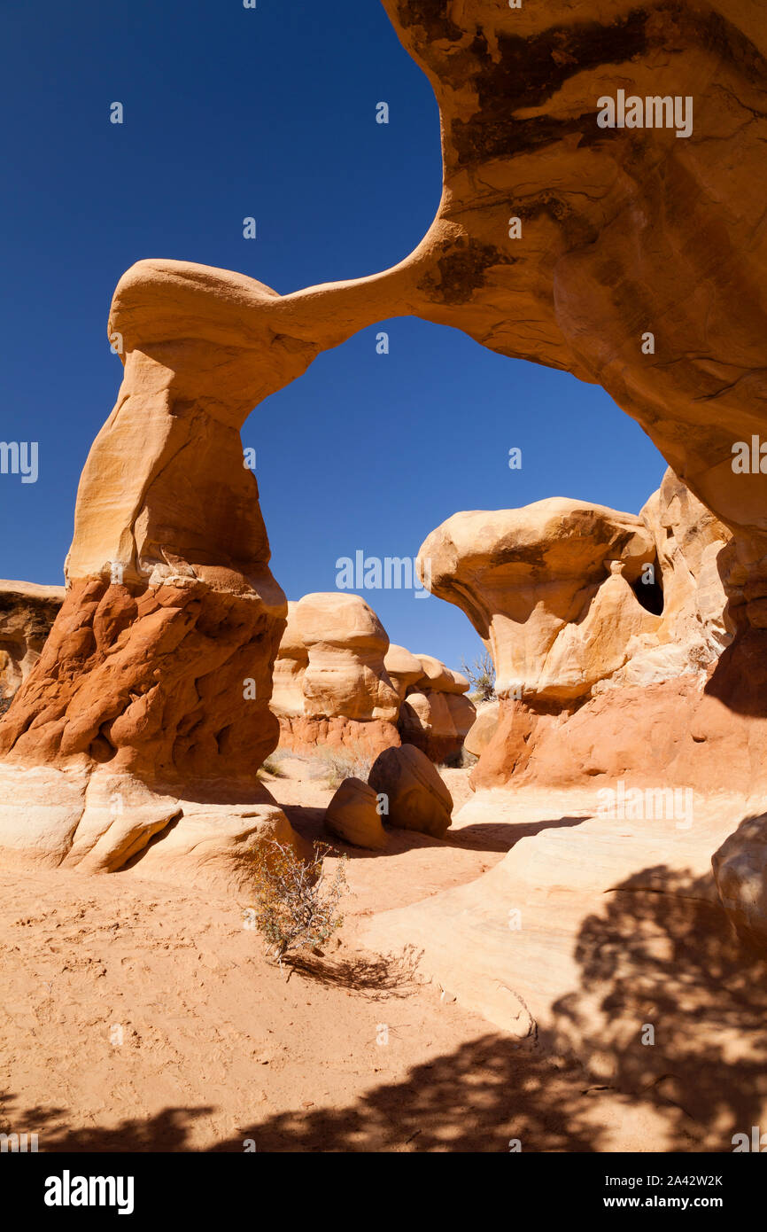 Felsformationen, Devil's Garden, Grand Staircase-Escalante National Monument, Utah Stockfoto