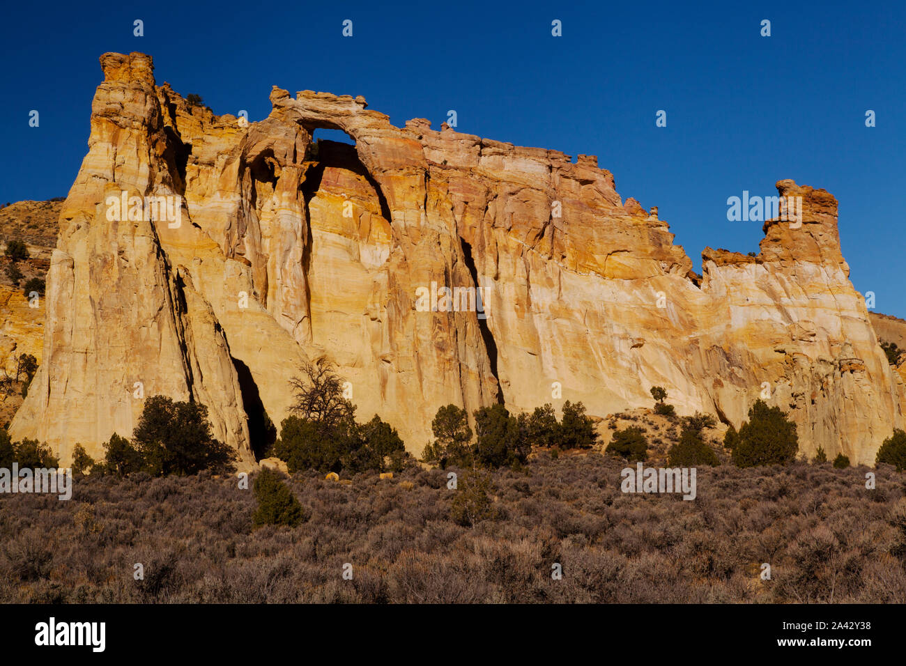 Grosvenor Arch auf der Cottonwood Canyon Road, Grand Staircase Escalante National Monument in Utah. Stockfoto