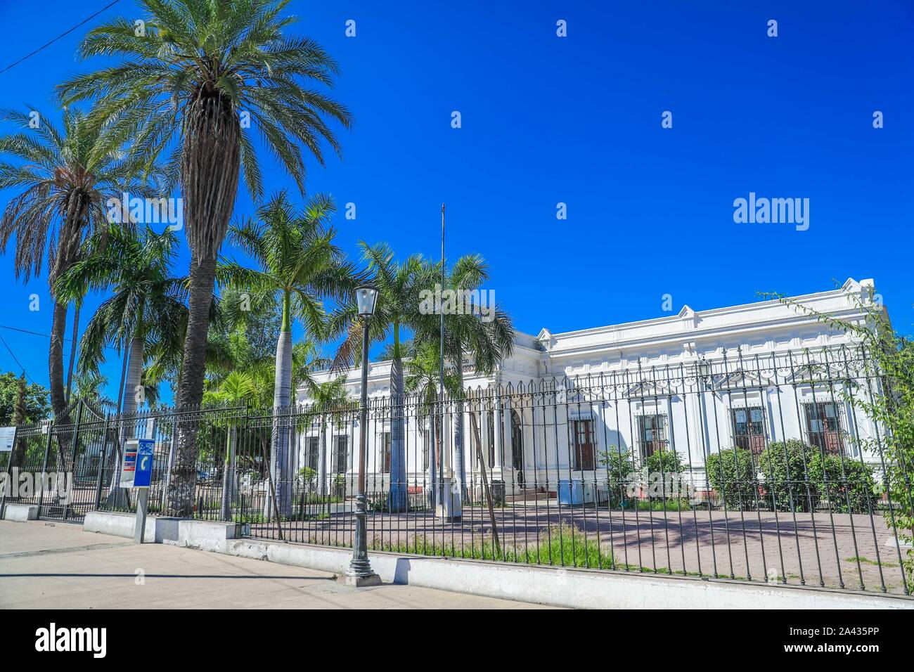 Fassade des Colegio Alvaro Obregon und Denkmal in Navojoa, Sonora. Álvaro Obregón Salido war eine mexikanischen Militärs und Politiker, die in der mexikanischen Revolution teilgenommen und war Präsident von Mexiko zwischen dem 1. Dezember 1920 und 30. November 1924. Grundschule, weißes Gebäude, das Weiße Haus. © (© Foto: LuisGutierrez/NortePhoto.com) fachada de Colegio Alvaro Obregon y Monumento en Navojoa, Sonora. Álvaro Obregón Salido fue un-Militar y político Mexicano que participó en la Revolución Mexicana y fue Presidente de México entre El 1 de November de 1920 y el 30 de Noviembre de 1924. Escuela p Stockfoto