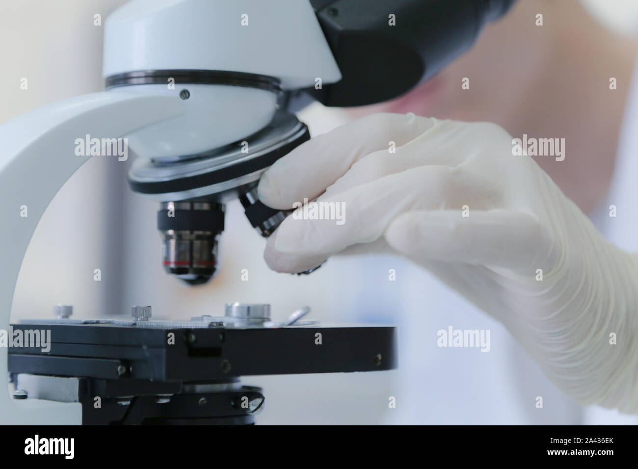 Junge männliche Wissenschaftler durch ein Mikroskop im Labor Forschung suchen, mikrobiologische Analyse, Medizin. Stockfoto