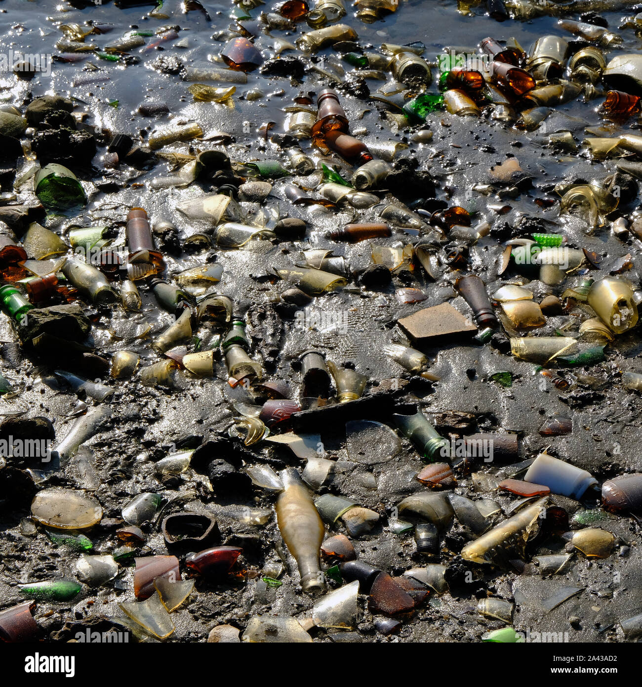 Angeschwemmte Flaschen, am Strand, bei Dead Horse Bay, Glasflasche Strand, karge Insel, Jamaica Bay Gerät der Gateway National Recreation Area. Brooklyn. Stockfoto