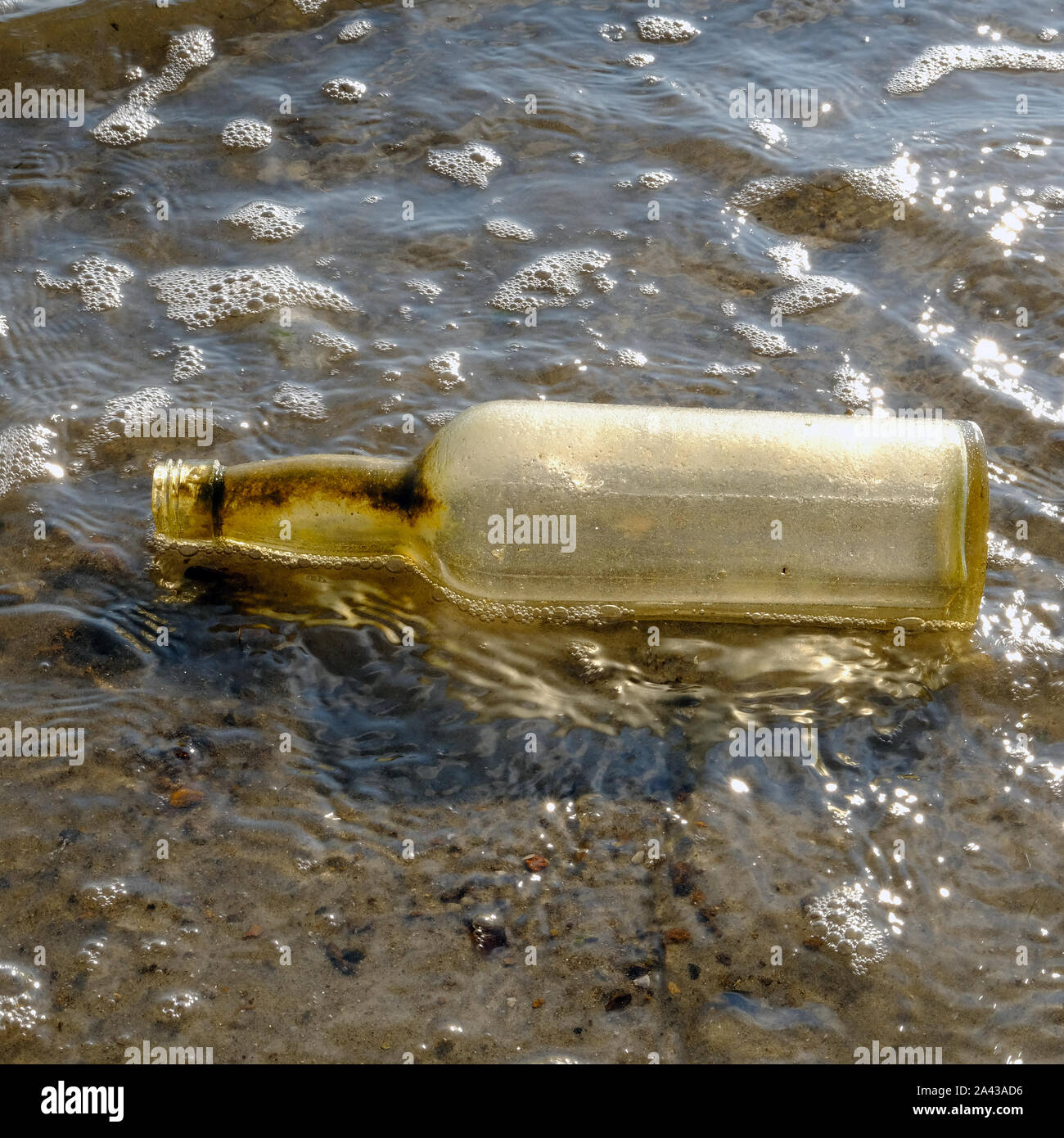 Angeschwemmte Flaschen, am Strand, bei Dead Horse Bay, Glasflasche Strand, karge Insel, Jamaica Bay Gerät der Gateway National Recreation Area. Brooklyn. Stockfoto