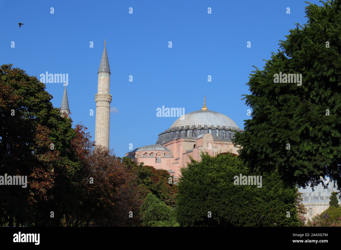Fatih Sultan Ahmet, Istanbul/Türkei - am 14. September 2019: Hagia Sophia Kuppeln und Minaretten in der Altstadt von Istanbul. Stockfoto