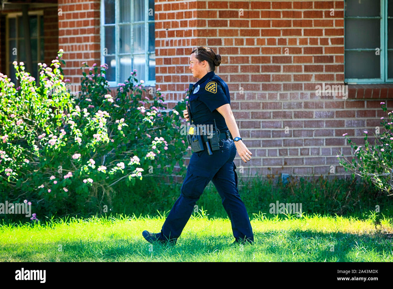 Polizistin zu Fuß über dem Haus Hof während eine angespannte Zeit während eines Vorfalls in Tucson AZ Stockfoto