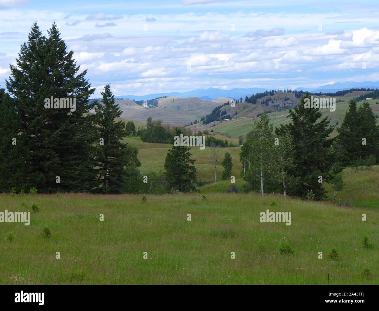 Montana-Landschaft Stockfoto