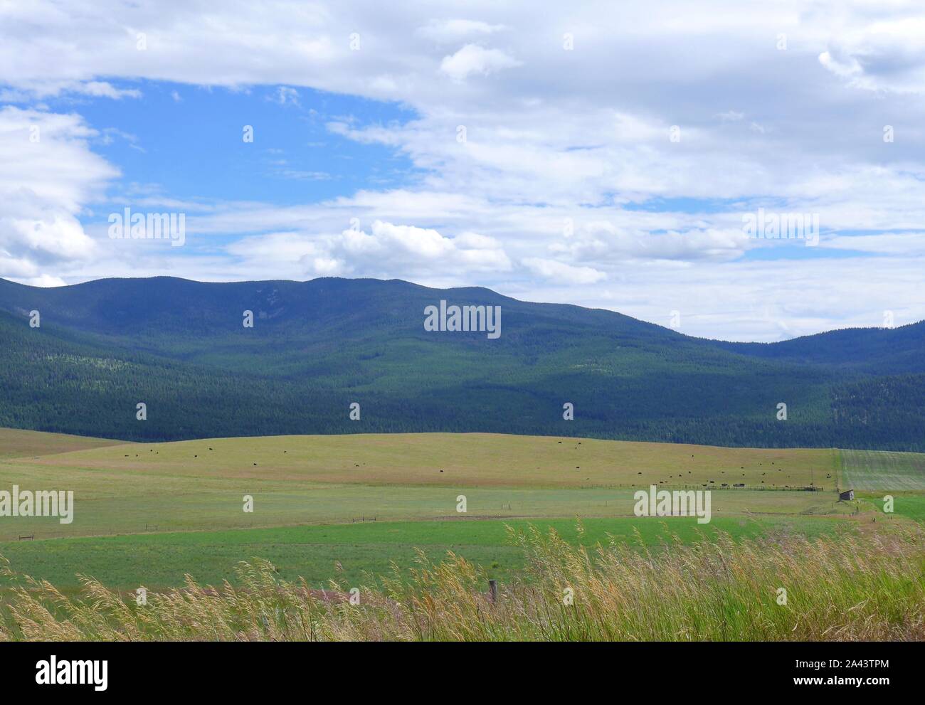 Montana-Landschaft Stockfoto