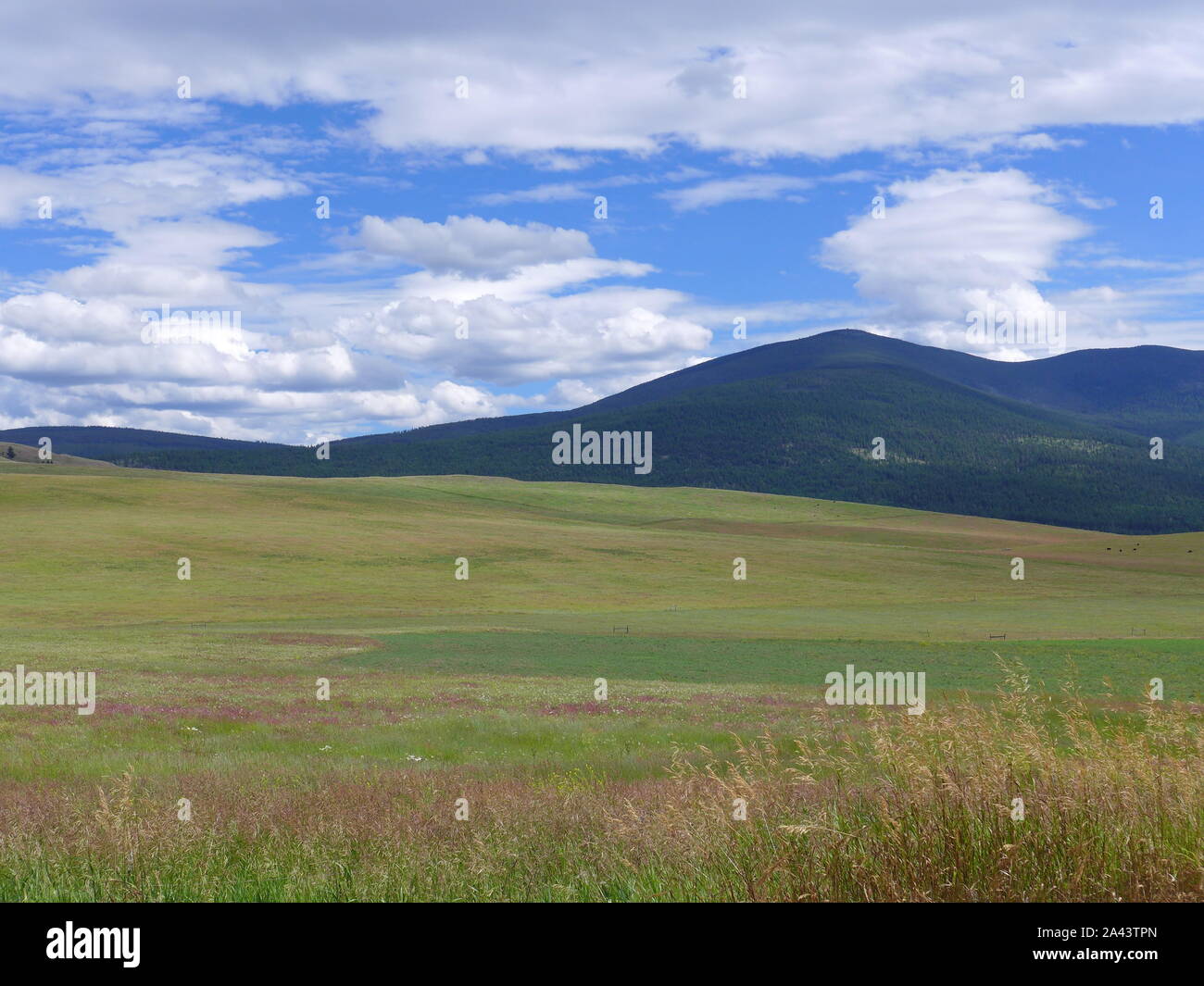 Montana-Landschaft Stockfoto