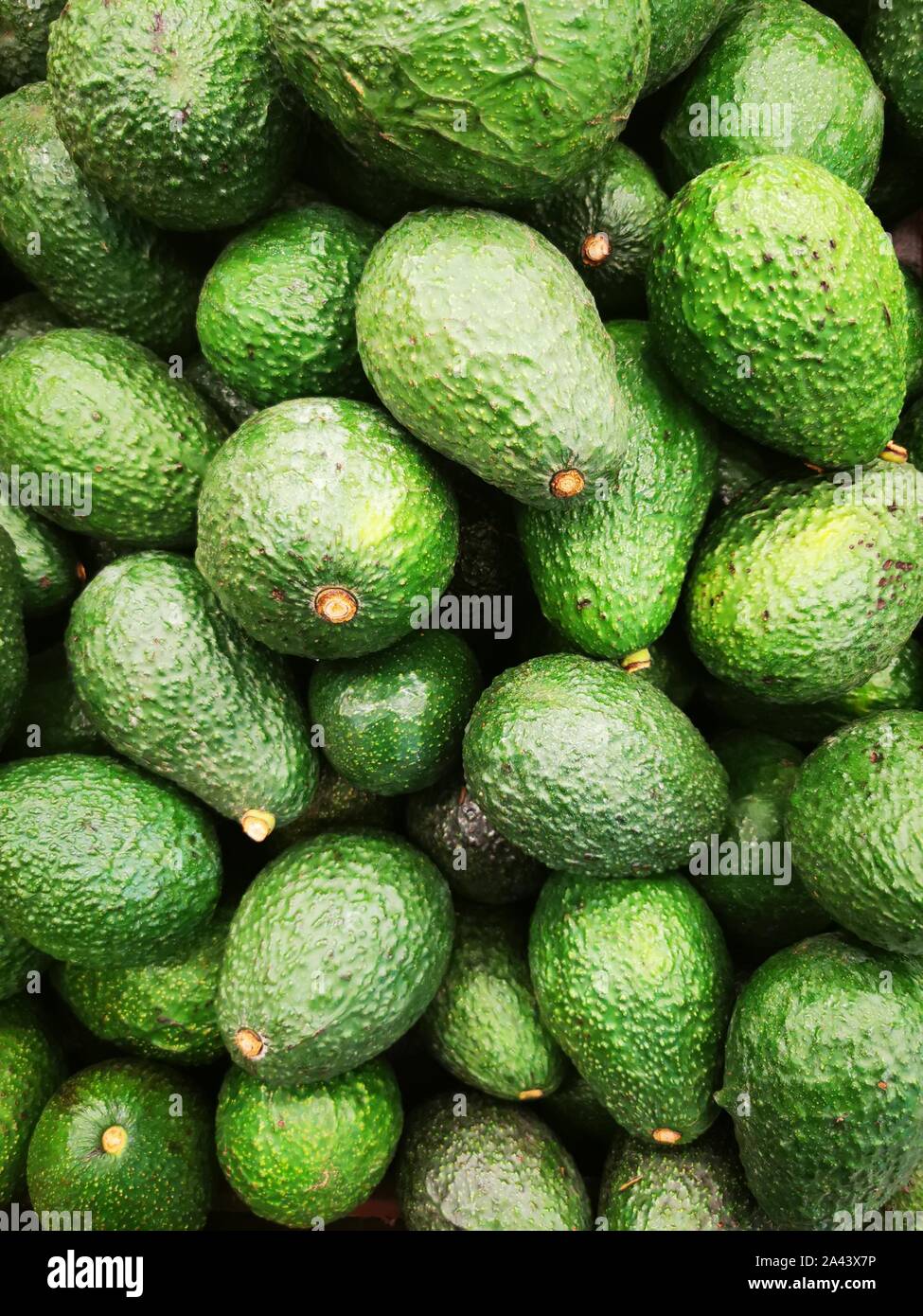 Nahaufnahme der Bündel frische grüne Avocado im Supermarkt Stockfoto