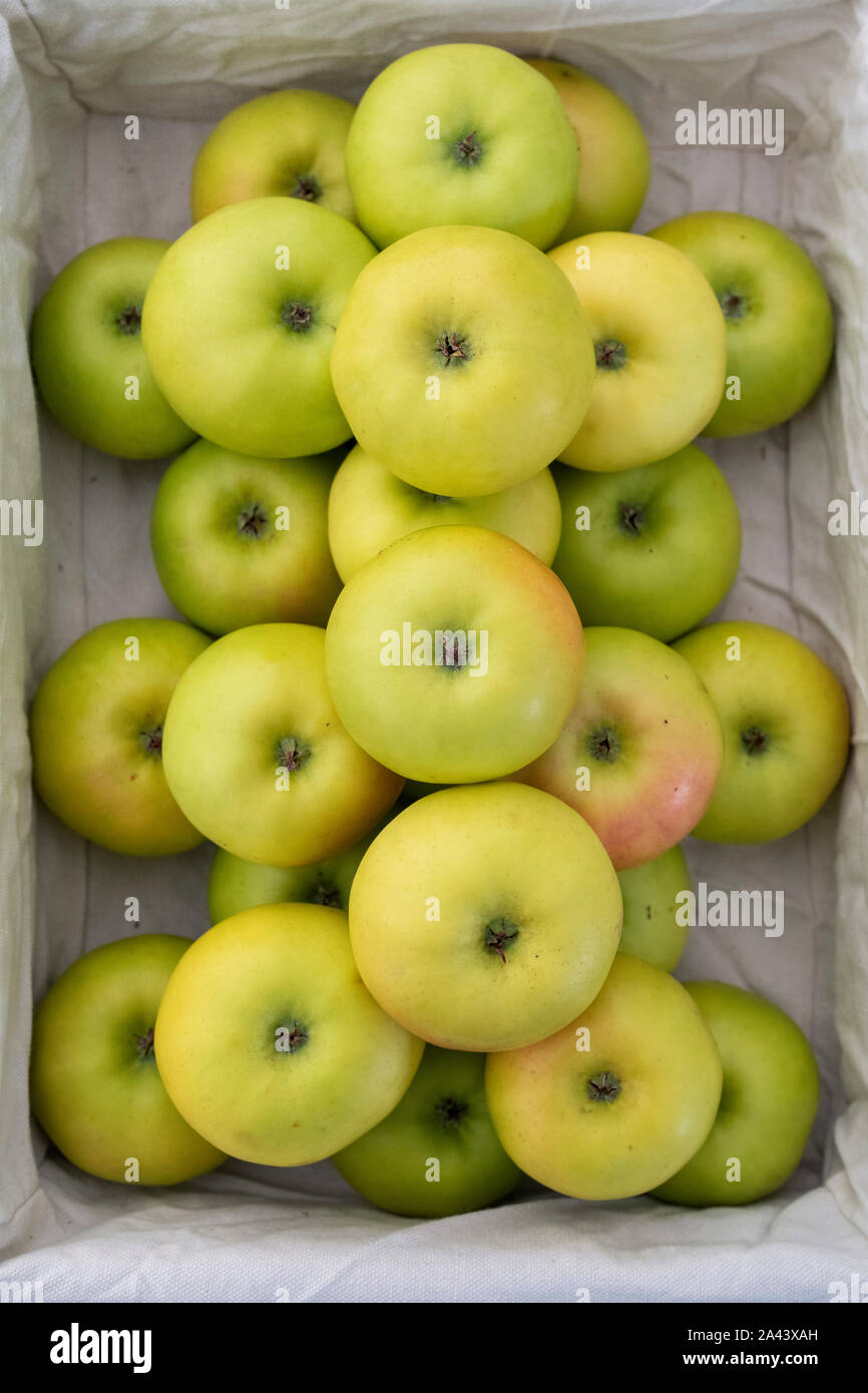 Malus domestica ‘limelight’ Korb mit Apfelfrüchten „limelight“ auf dem Display. VEREINIGTES KÖNIGREICH Stockfoto