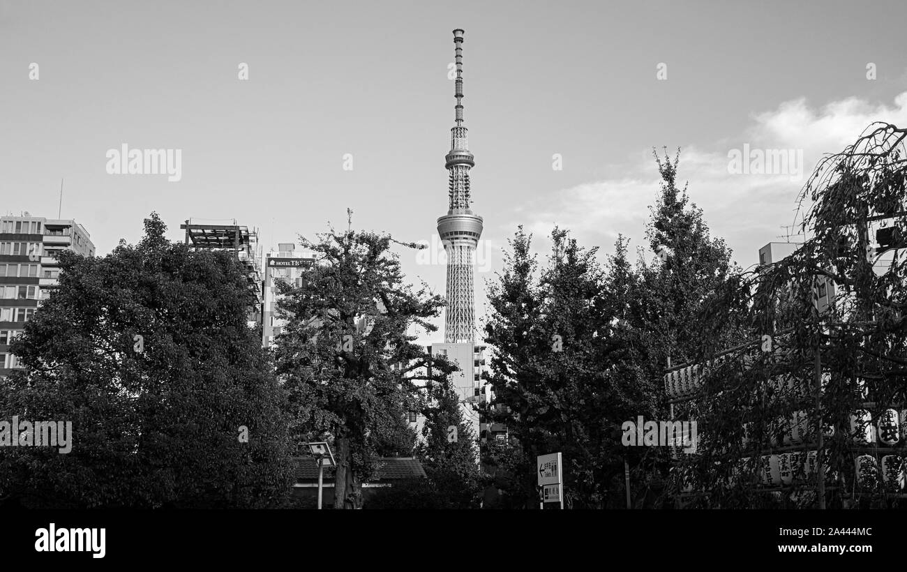 Tokyo Tower Skytree moderne Ansicht downtown Vegetation schwarz weiß Stockfoto