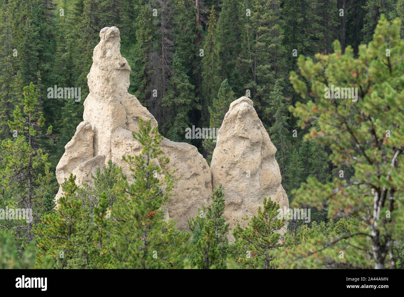 Schließen Sie herauf Bild der Hoodoos in der Nähe von Banff, Banff National Park, Alberta, Kanada Stockfoto