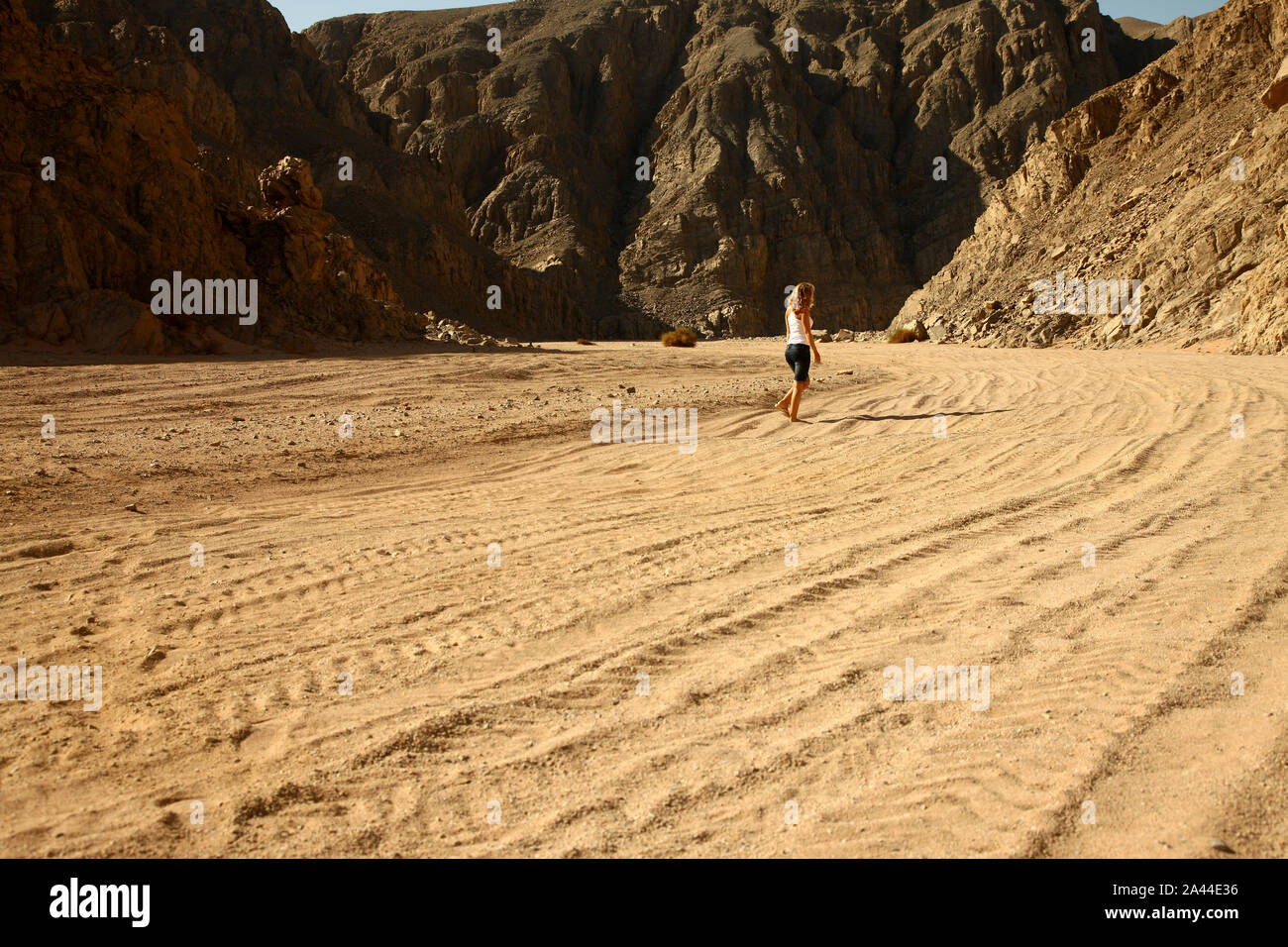 Blond weiblich Modell Wandern in der Wüste Sand Stockfoto