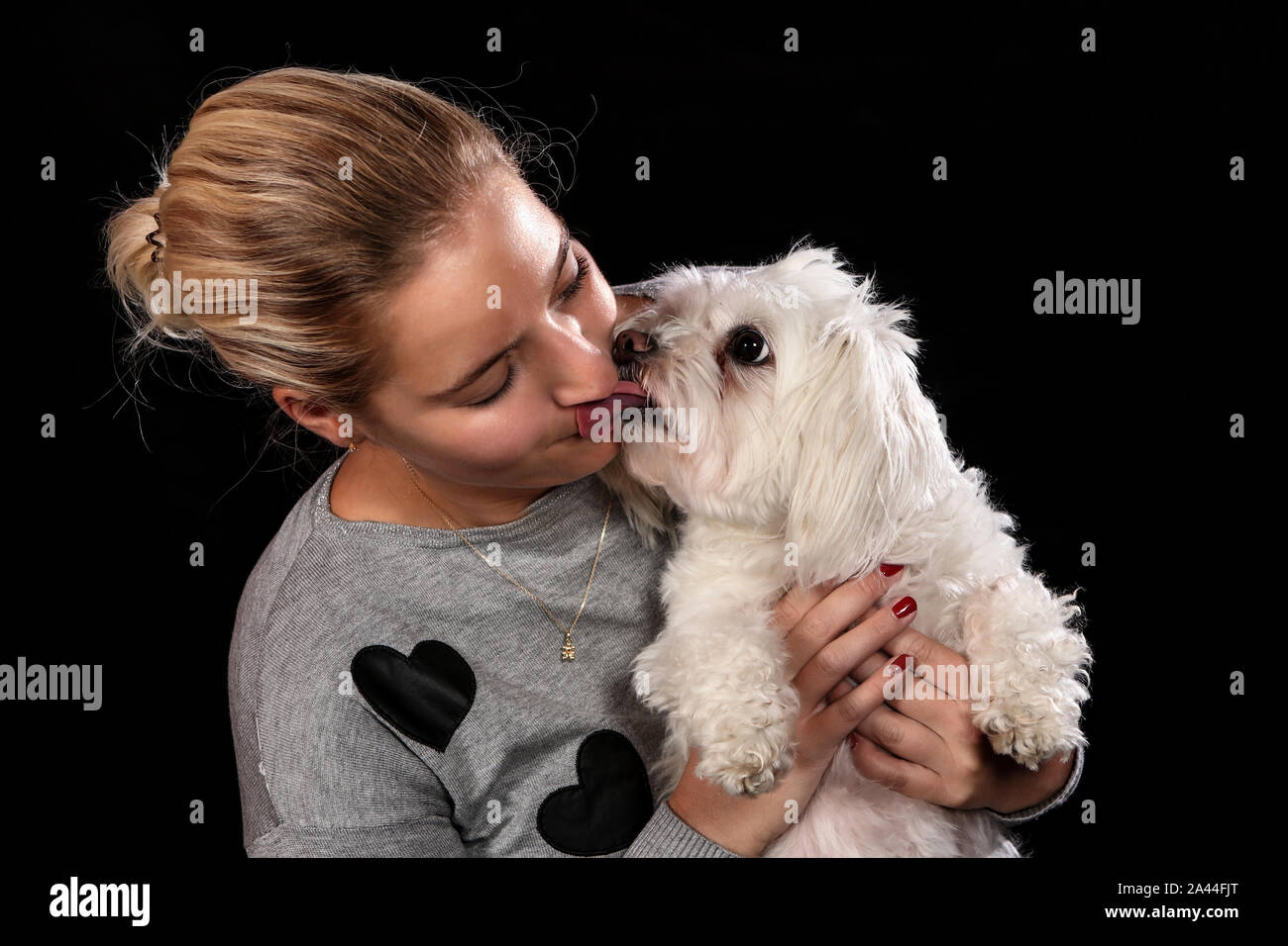 Frau mit Ihrem besten Freund, dem Hund, für ein Portrait auf schwarzem Hintergrund posiert. Stockfoto