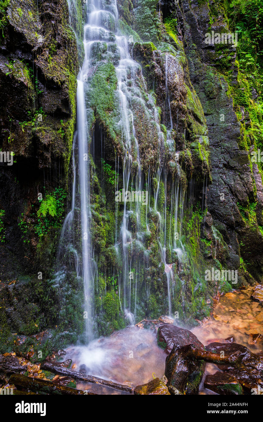 Deutschland, magischer Schwarzwald natur Wasserfall burgbachwasserfall in der Wildnis von unberührten Wald bedeckt mit Moos Stockfoto