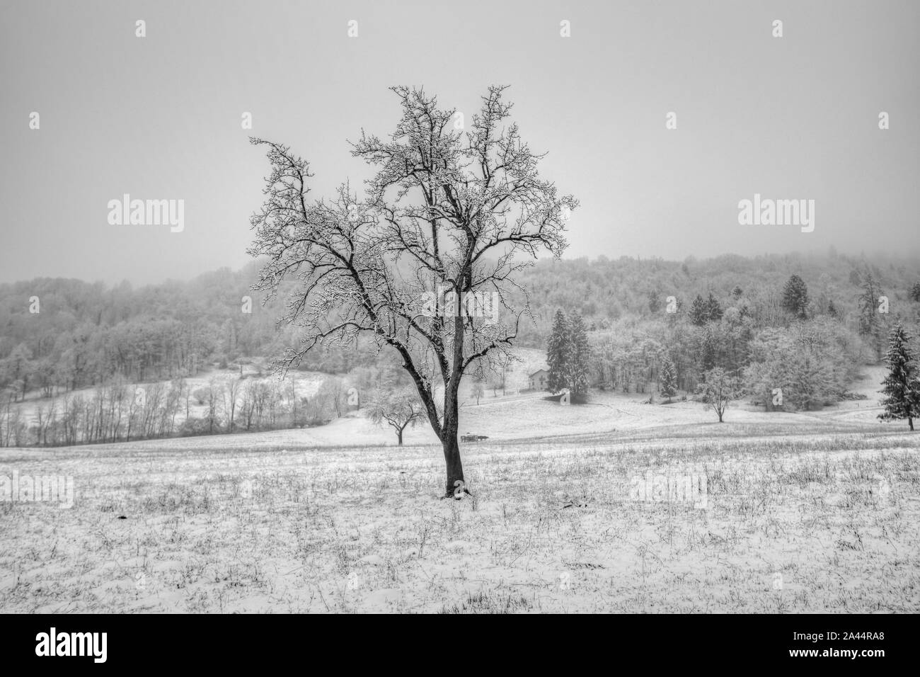 Panoramaaufnahmen der schönen Dolmen in der Stadt Belluno in Italien Stockfoto