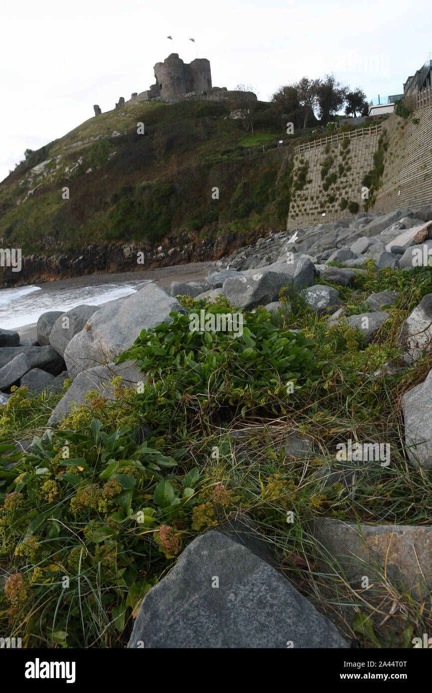 Criccieth Castle Stockfoto