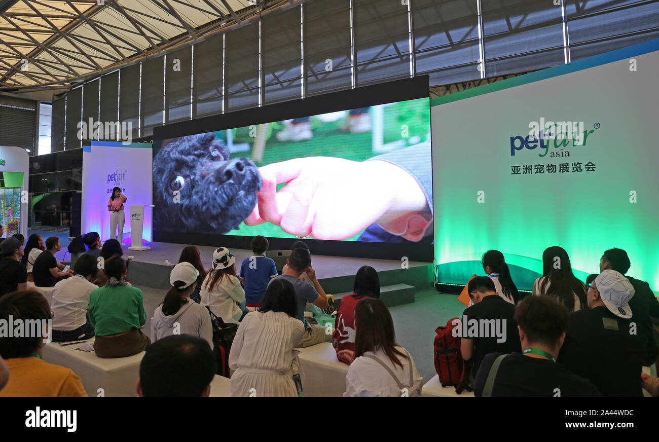 Pet-Liebhaber Herde zu sehen süße Haustiere an der Pet-Messe Asien 2019, das ist der 22. des Fairen, beginnt in Shanghai, China, 21. August 2019. *** Lokale Capti" Stockfoto