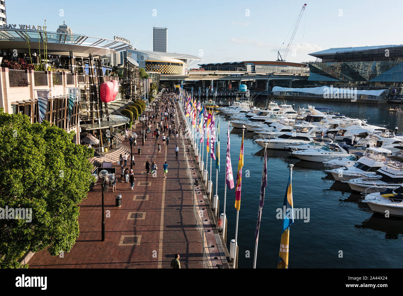 Sydney, Australien - Mar 26, 2016: Luftaufnahme von Darling Harbour und Cockle Bay Wharf und Pyrmont. Touristen und Einheimische genießen Sie einen sonnigen Abend in Sydney Stockfoto