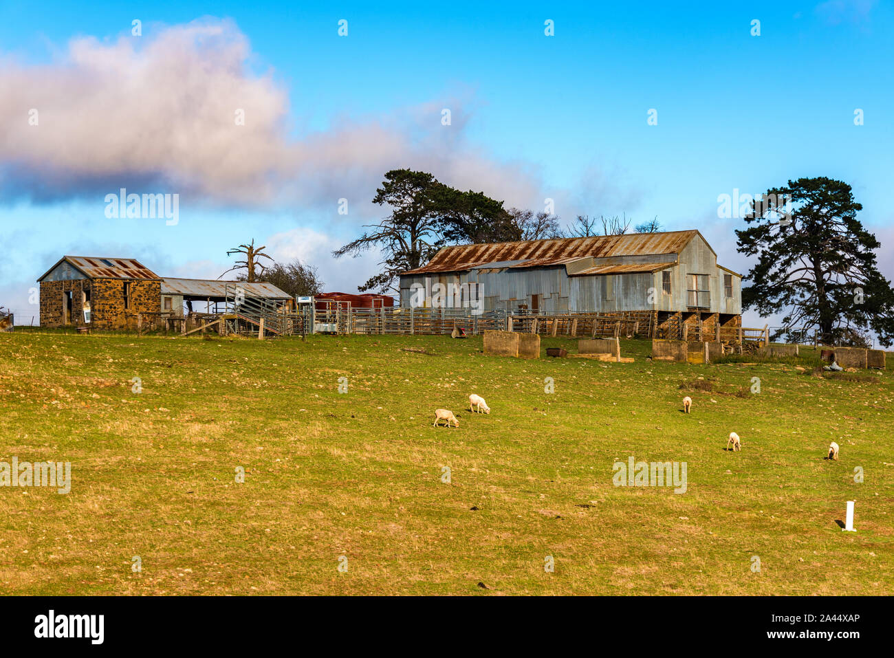 Cattle Farm Outback Australia Stockfotos und -bilder Kaufen - Alamy