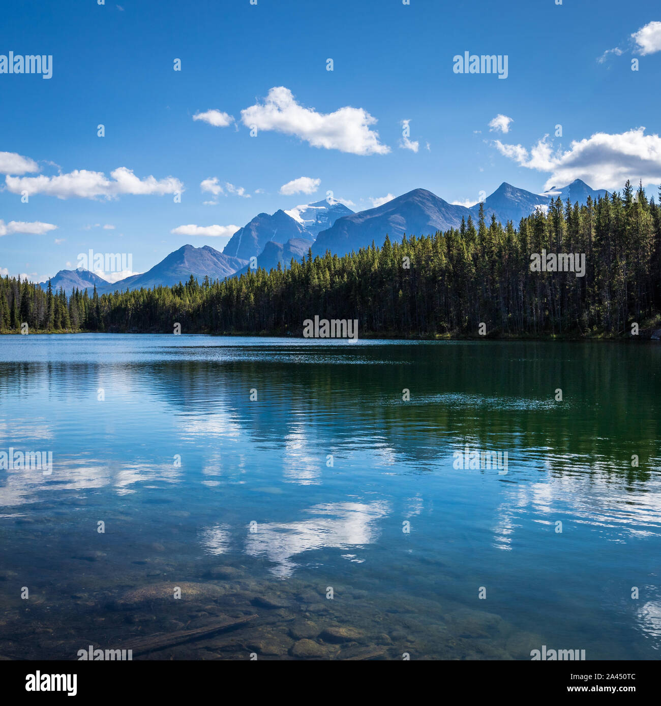 Ruhige blaue Wasser von Herbert See mit Reflexionen von Bäumen, Wolken, und der kanadischen Rocky Mountains, Banff National Park, Alberta, Kanada Stockfoto