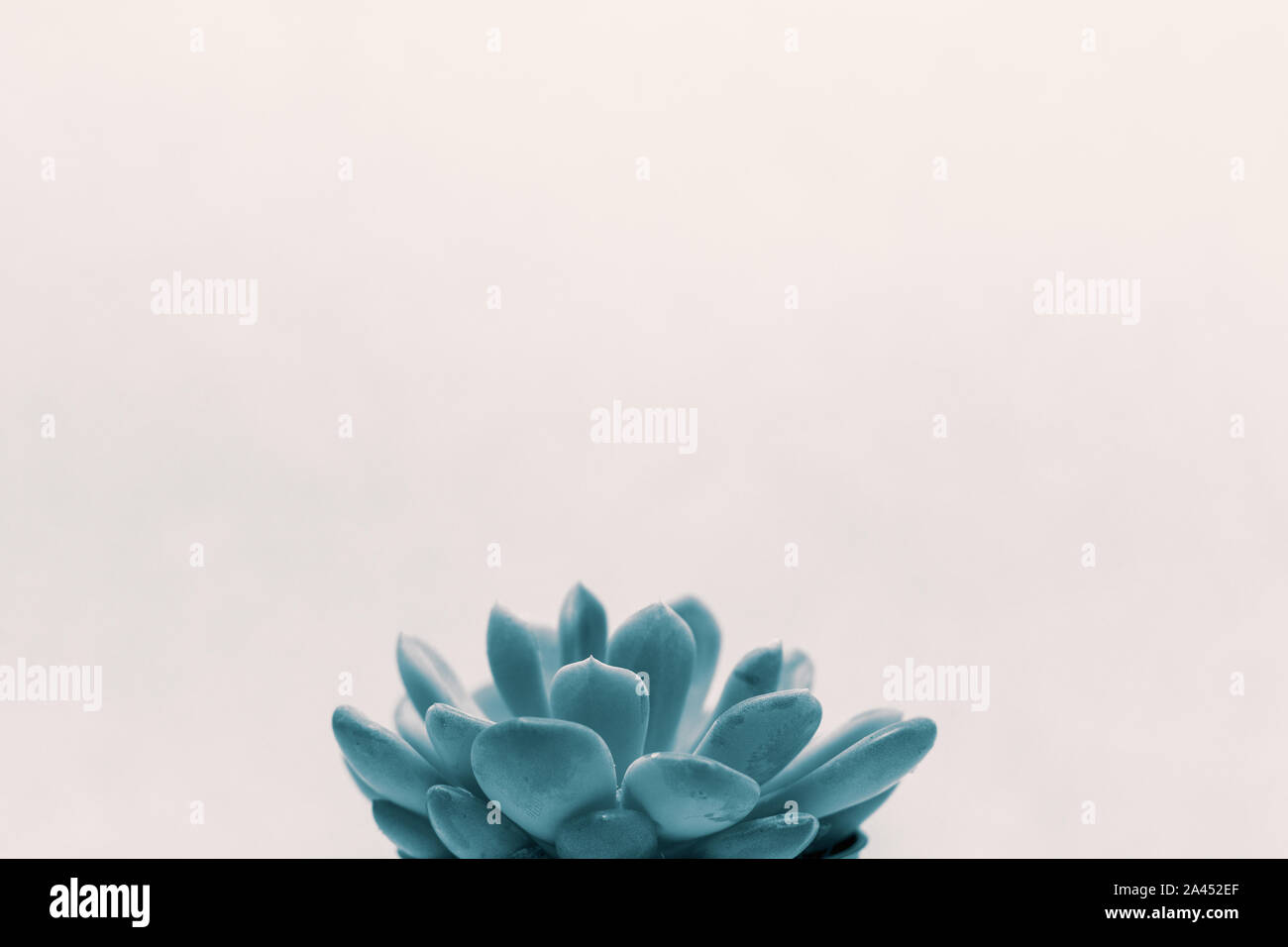 Kunst kreatives Konzept Bild mit hellen modernen Farben, unrealistisch Design Stockfoto
