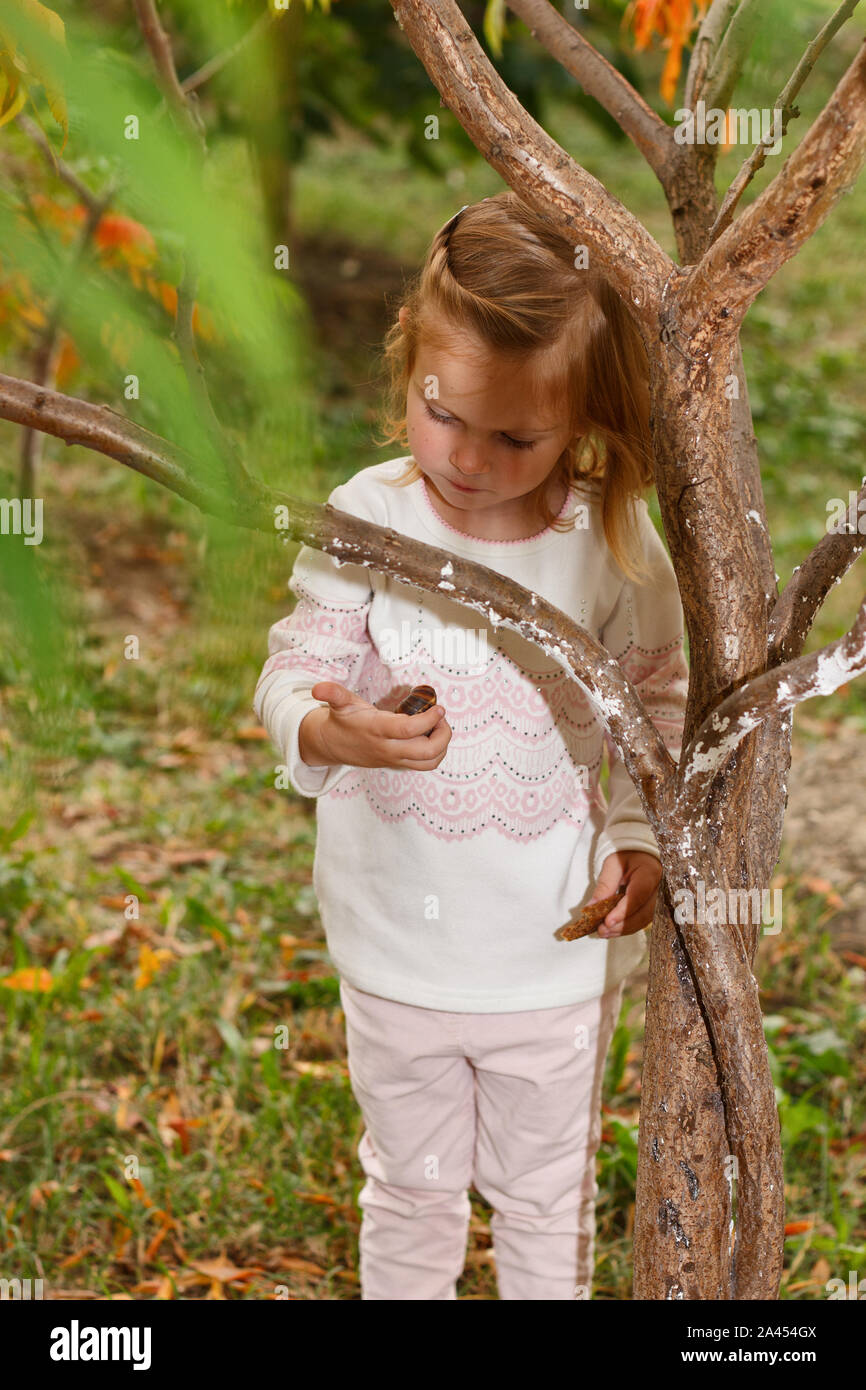 Adorable Baby Mädchen hält Schnecke, spielen in einem sonnigen Park unter einem Baum mit gelben Blätter, versteckt hinter Baum Stockfoto