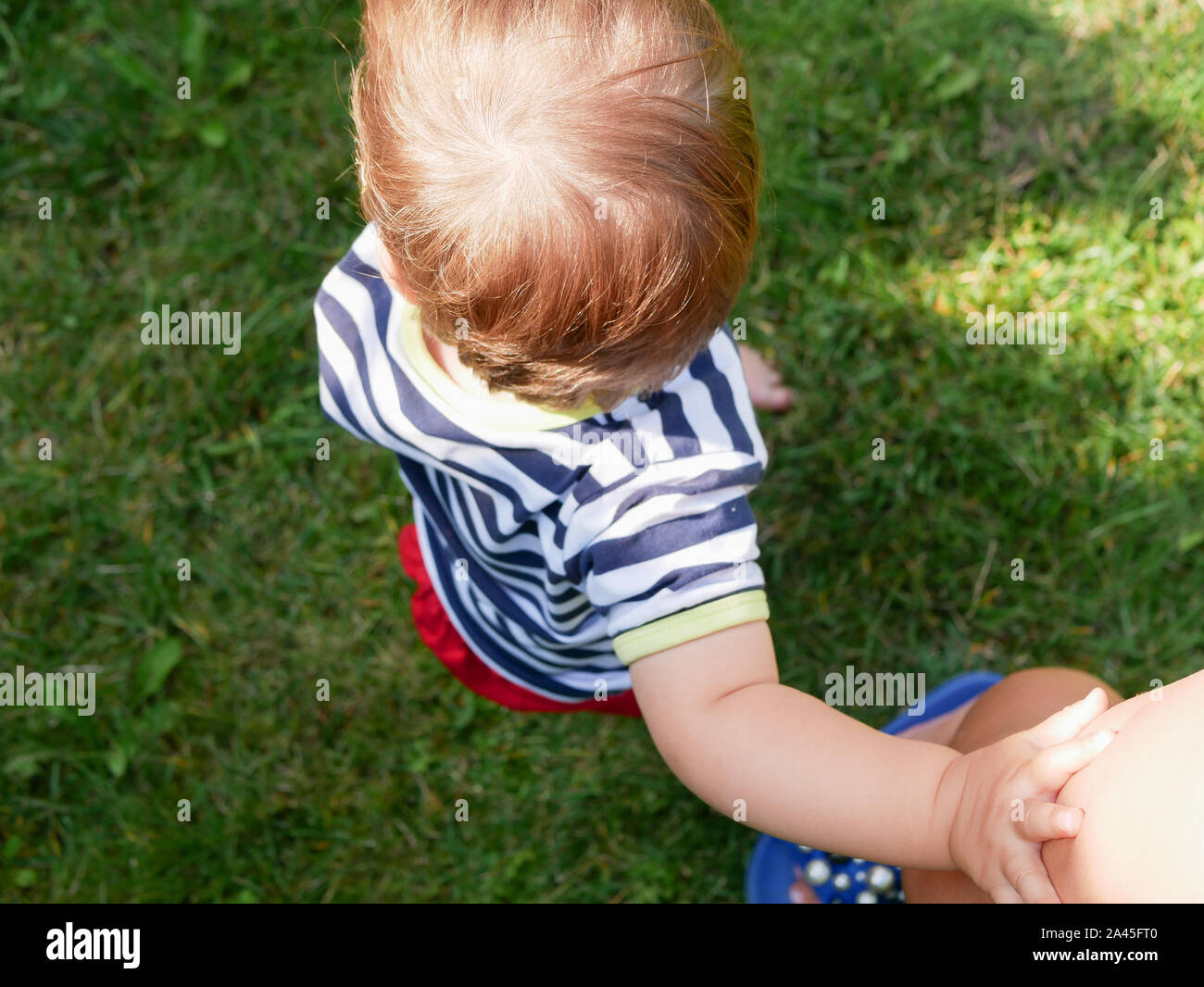 Kind hält Mom's Hand. Blick von oben. grünes Gras Hintergrund. Stockfoto