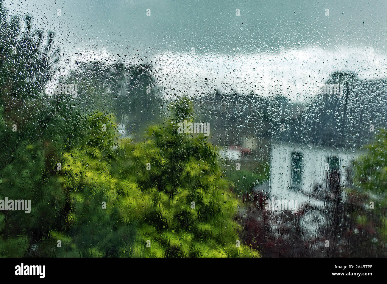 Regentag - Regen auf dem Fenster. Stockfoto