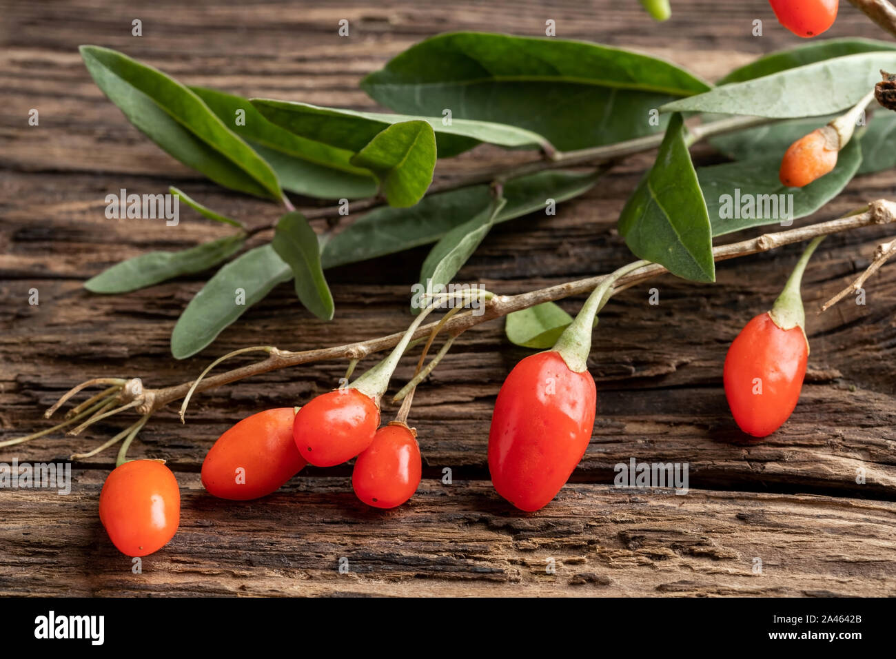 Frische Goji Beeren mit Blätter auf einen hölzernen Tisch Stockfoto