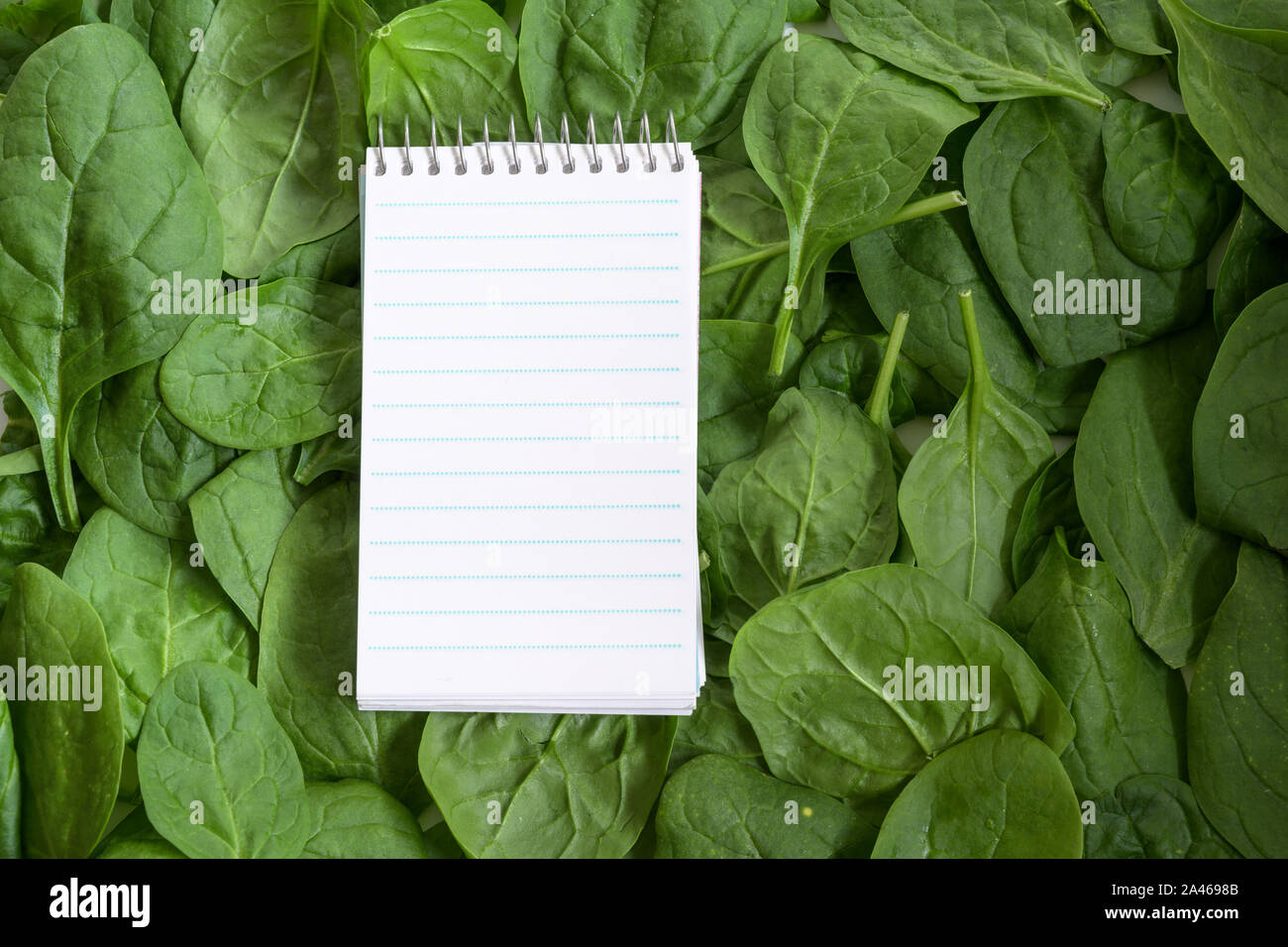 Tear-off-Editor für Rezept oder Shopping Liste auf einem Hintergrund aus frischen organischen Spinatblätter, Kopieren, hohen Winkel Draufsicht von oben Stockfoto