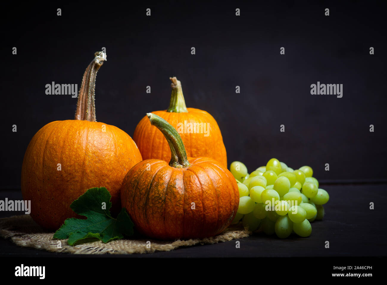 Punkins auf einem urigen Hintergrund für ein Thanksgiving Zusammenfassung Stockfoto